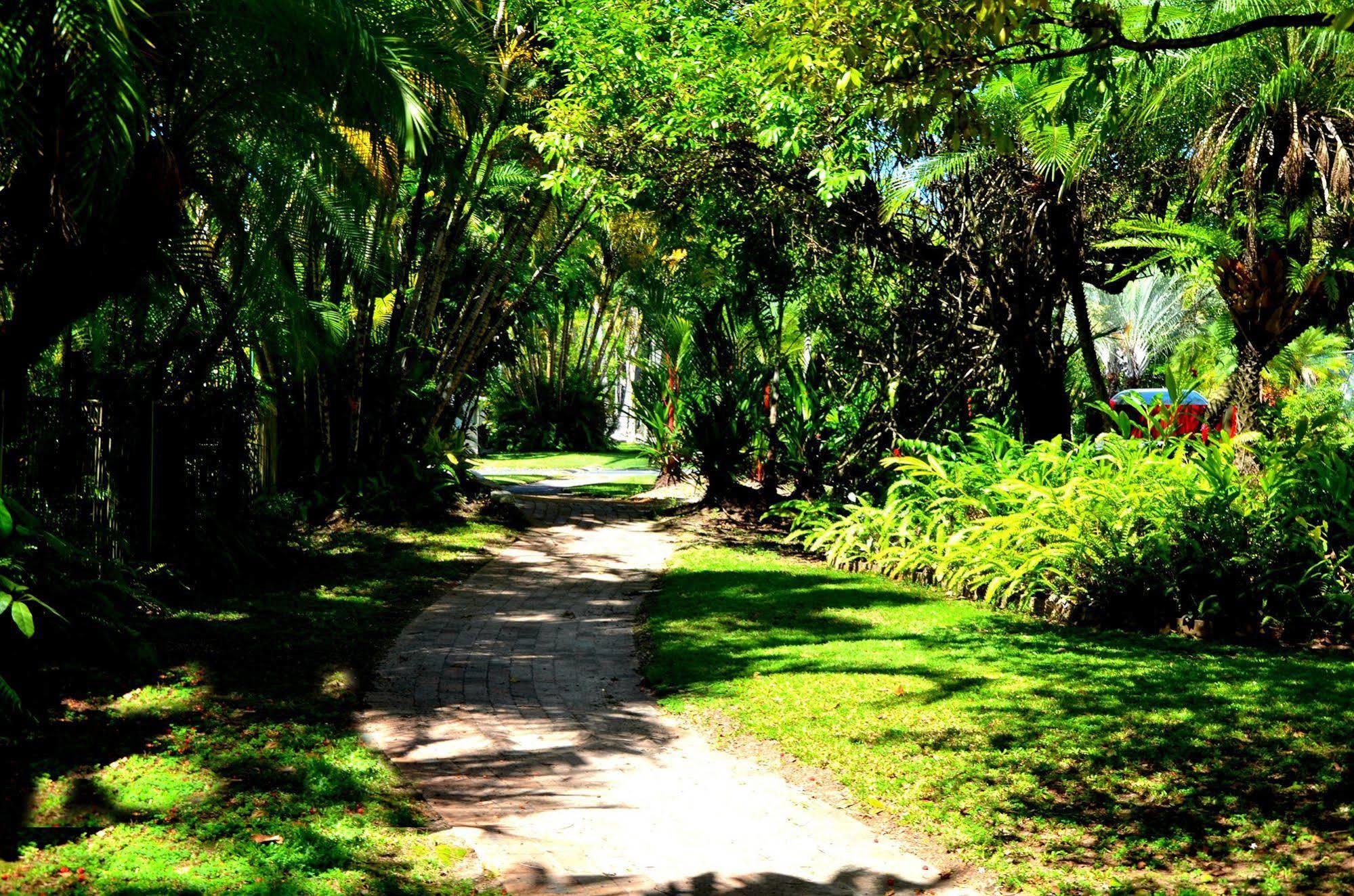 Beach Terraces Port Douglas Exterior foto